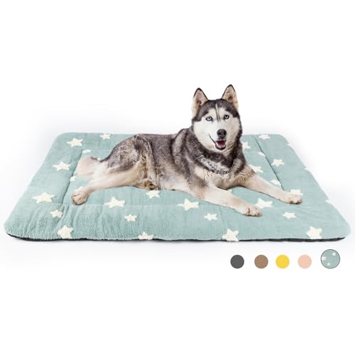 Mora Pets Washable Cat Mat Bed and Flat Dog Crate Pad