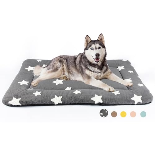 Mora Pets Washable Cat Mat Bed and Flat Dog Crate Pad