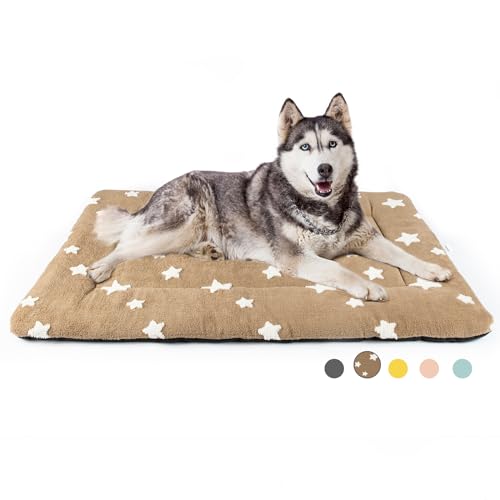 Mora Pets Washable Cat Mat Bed and Flat Dog Crate Pad