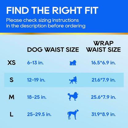 HONEY CARE All-Absorb A26 Disposable Male Dog Wrap
