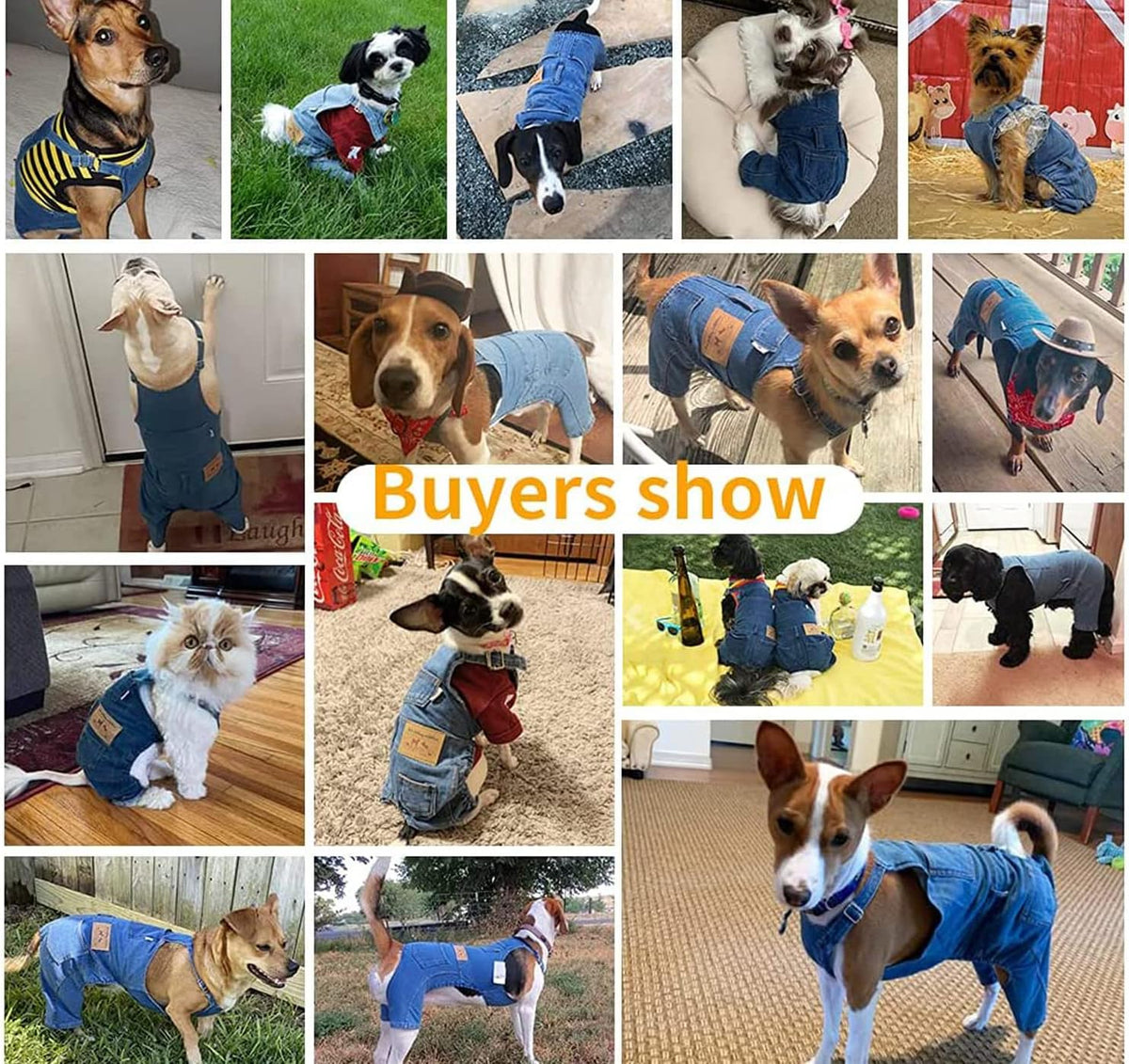 Dog Overalls Small Dogs Denim Jeans Outfit