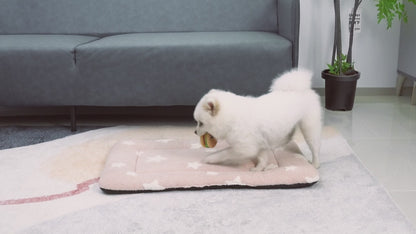 Mora Pets Washable Cat Mat Bed and Flat Dog Crate Pad