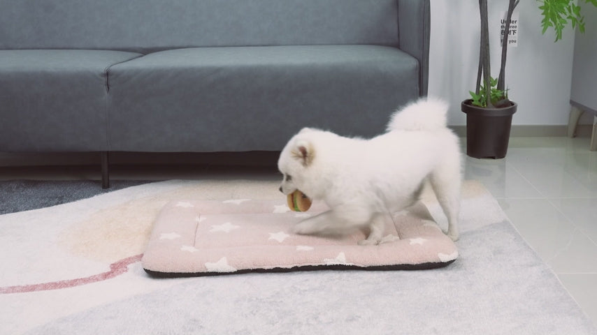 Mora Pets Washable Cat Mat Bed and Flat Dog Crate Pad