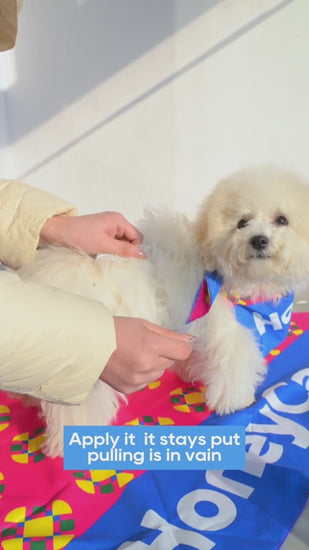HONEY CARE All-Absorb A26 Disposable Male Dog Wrap