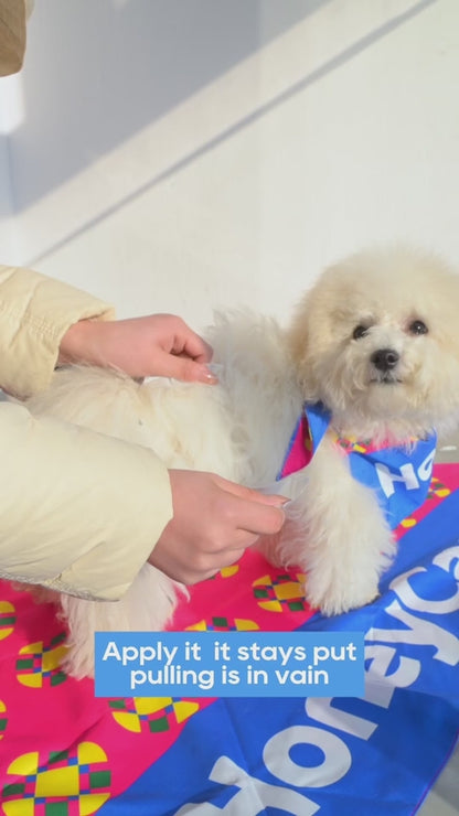 HONEY CARE All-Absorb A26 Disposable Male Dog Wrap