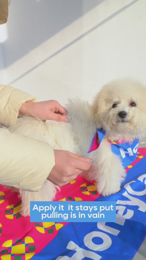 HONEY CARE All-Absorb A26 Disposable Male Dog Wrap