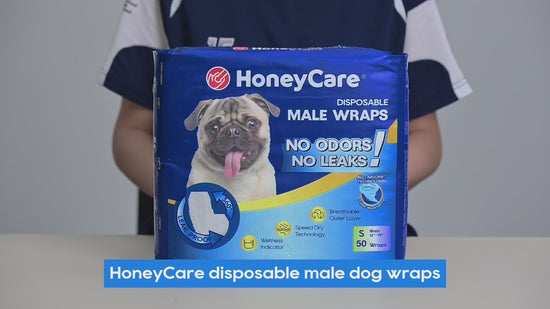 HONEY CARE All-Absorb A26 Disposable Male Dog Wrap