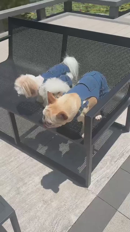 Tealots Denim Dog Overalls Outfit for Small Dogs