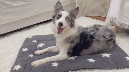 Mora Pets Washable Cat Mat Bed and Flat Dog Crate Pad